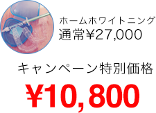 キャンペーン特別価格